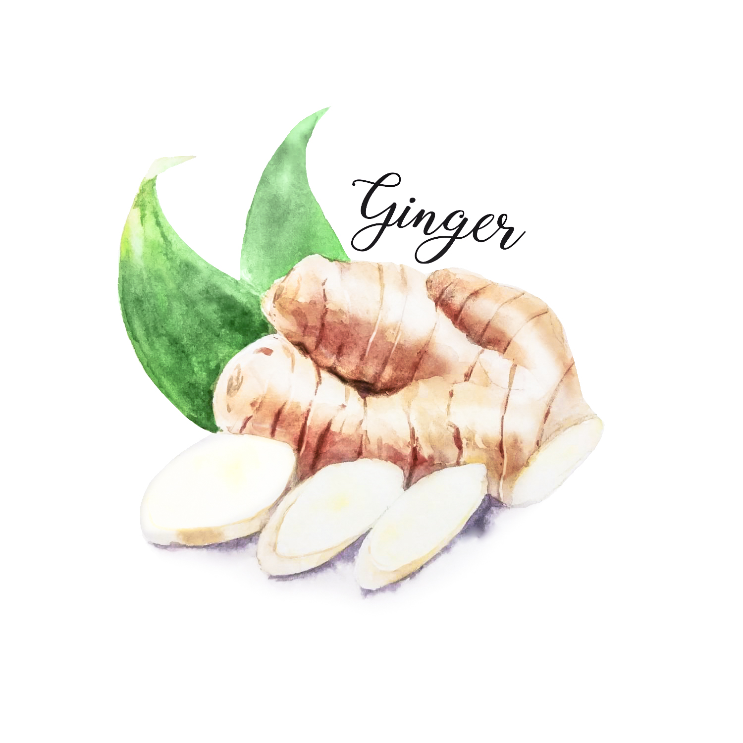 Ginger