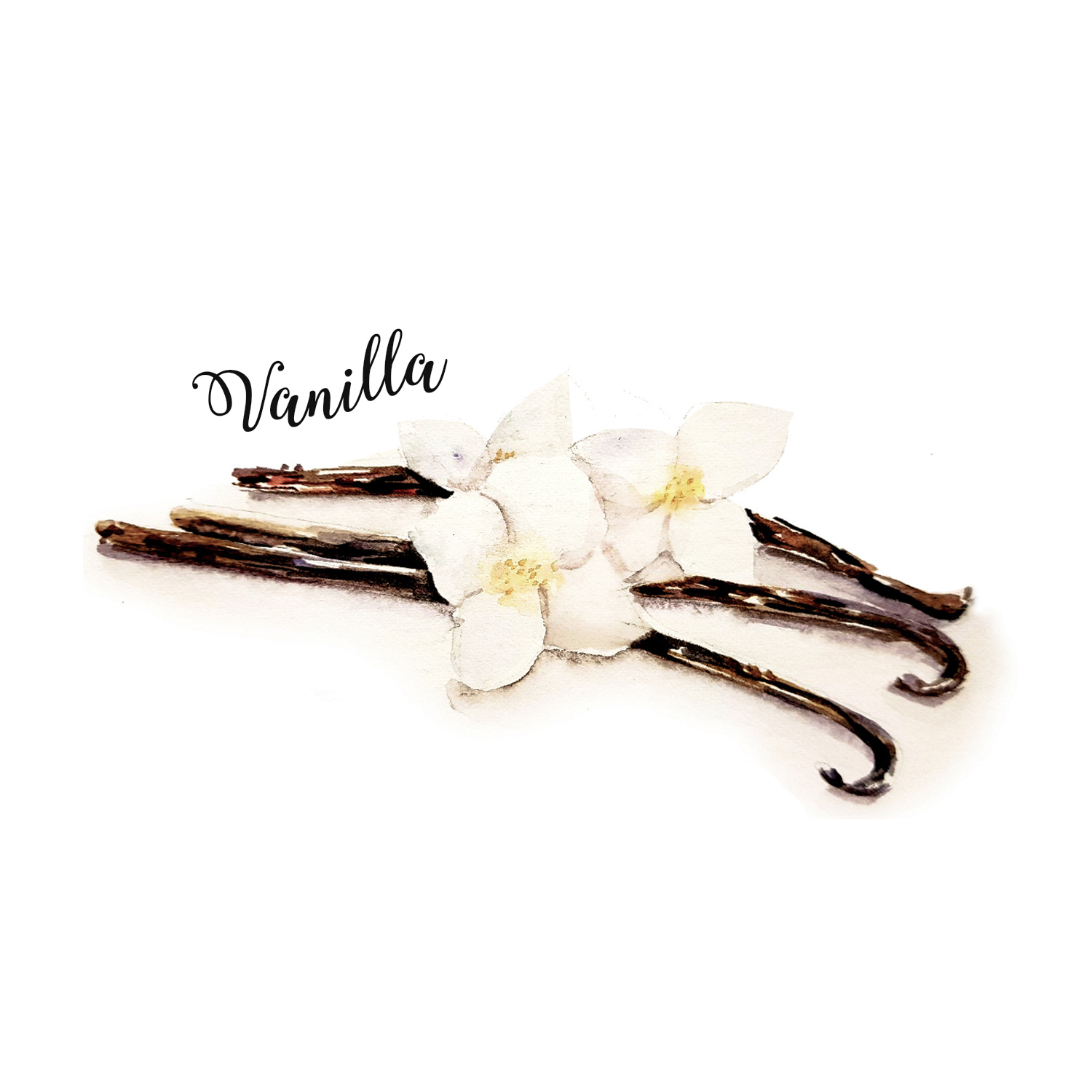 Vanilla