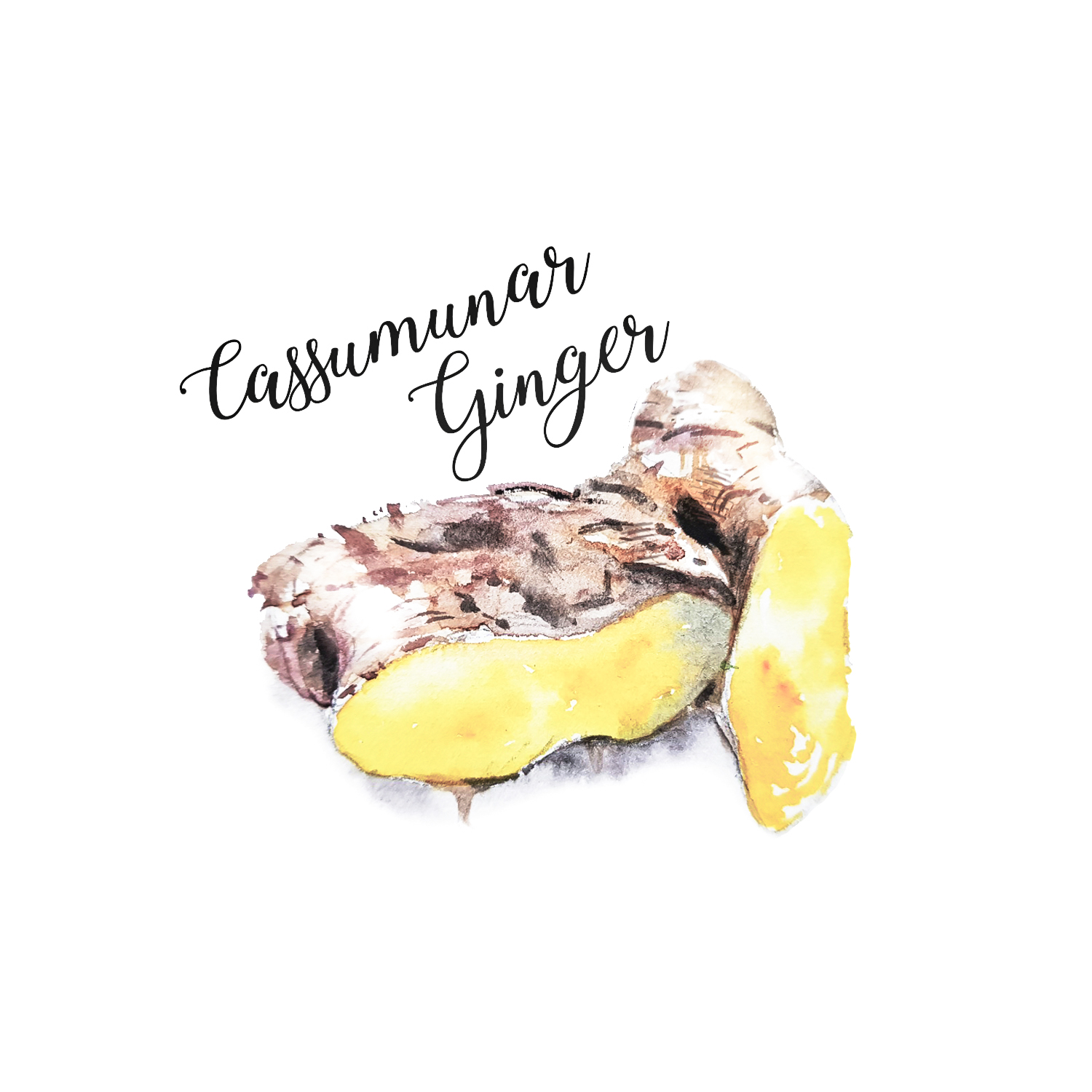 Cassumunar Ginger